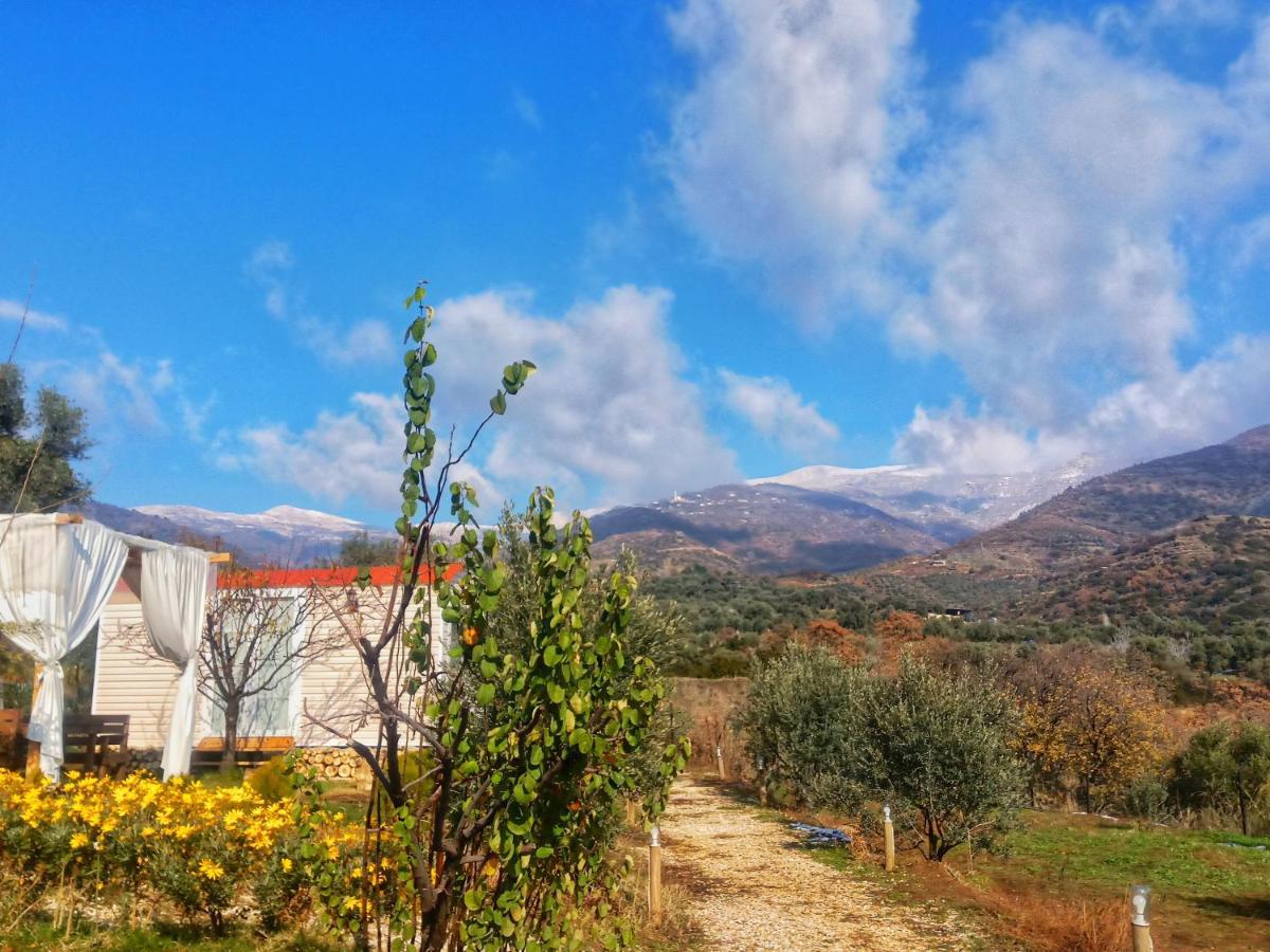 Hayal Tadinda Hotel İzmir Kültér fotó