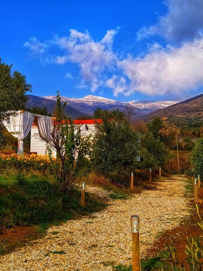 Hayal Tadinda Hotel İzmir Kültér fotó
